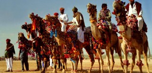 Competitors for a camel race - Jaisalmer