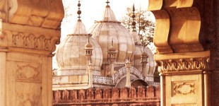 The Moti -pearl- Mosque at the Red Fort- Delhi